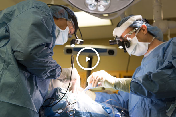AVM surgery video